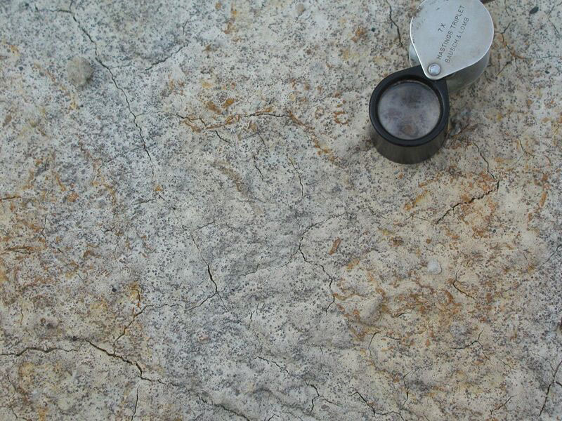 Enlarged view: a close up of soil siderite concretions