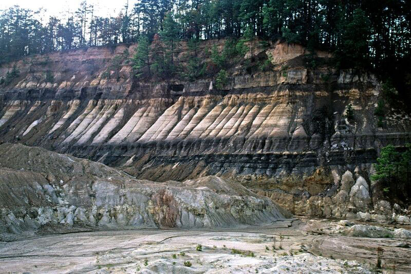 Enlarged view: Early Eocene paleosol Texas USA